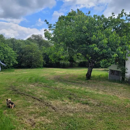 Charmante Chaumiere Au Coeur De La Briere 3* La Chapelle-des-Marais